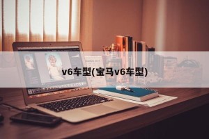 v6车型(宝马v6车型)