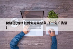 价格低(价格低到你无法想象,下一句广告语)