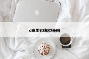 d车型/D车型是啥